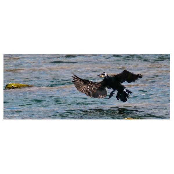 PHOTO84, CLUB, 84 , LUBERON